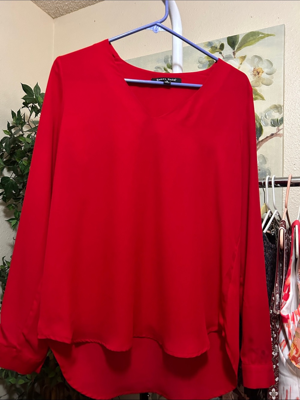 Sweet Rain Red Long-Sleeve V-Neck Blouse